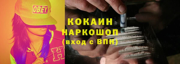 винт Богданович