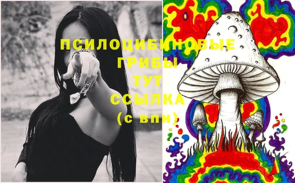 винт Богданович