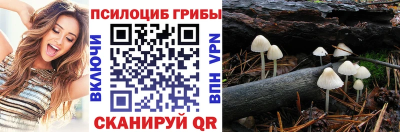 Галлюциногенные грибы GOLDEN TEACHER  Белёв 